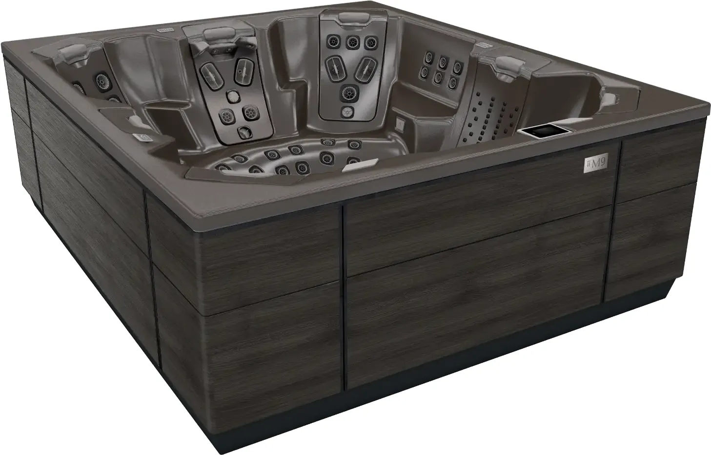 Bullfrog Spas M9 — Ebony / Oxydium